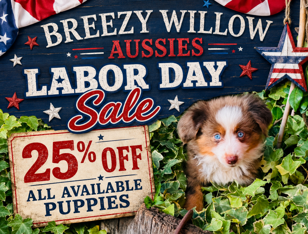 Labor Day Sale!!